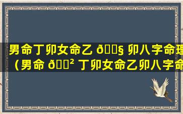 男命丁卯女命乙 🐧 卯八字命理（男命 🌲 丁卯女命乙卯八字命理详解）